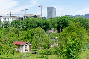 Vysočanské zahrádky